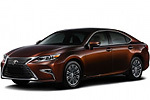 Лампы для Lexus ES 6 пок., V6, рестайлинг