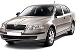 Лампы для Skoda Octavia A5, дорестайлинг